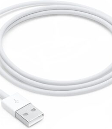 Apple Lightning to USB Cable (1 m) private chauffeur limousine service Westchester County