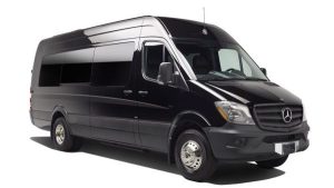 18-passenger party bus limo van Westchester County private chauffeur group events