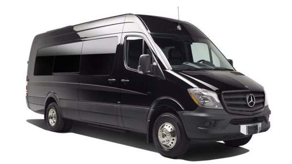 18-passenger party bus limo van Westchester County private chauffeur group events